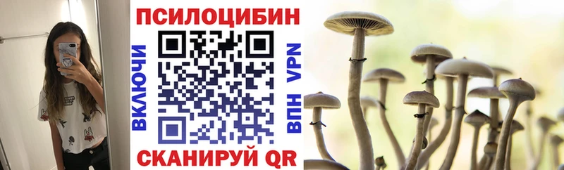 Купить  Жиздра  Галлюциногенные грибы мицелий 